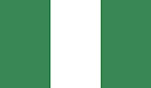 Nigerian Flag Logo